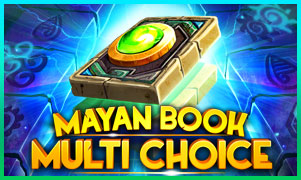 Mayan Book Mayan Book